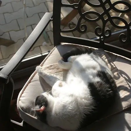 فندق Logis De تافل