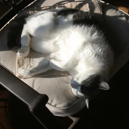 Hotell Logis De Tavel