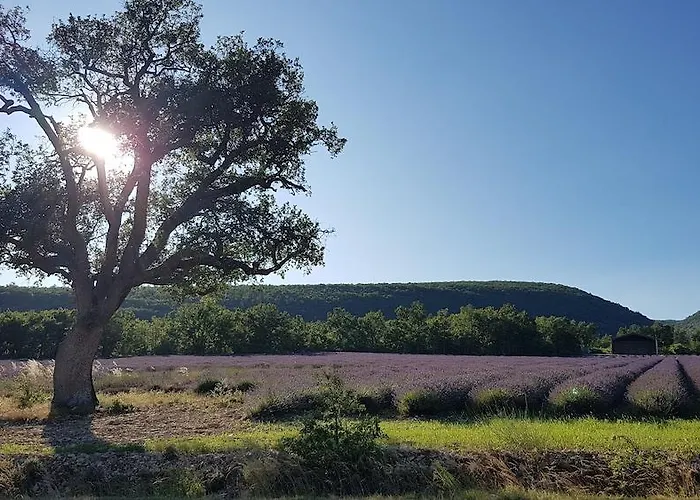 Logis De Szálloda
